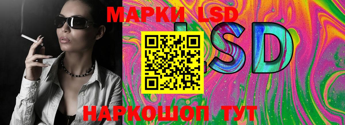 МЕФ Малгобек
