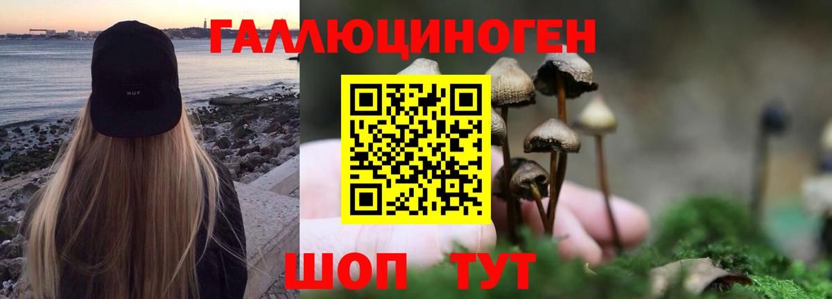 Малгобек  Псилоцибиновые грибы ЛСД  Вход с VPN 